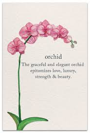 Orchird Birthday Card Cardthartic Com 90 pieces of moving images that you can send to your girlfriend, mother or sister. orchid