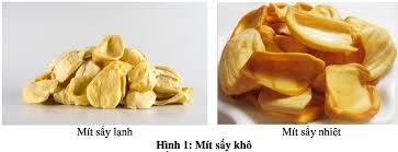 Hoa quả sấy khô bằng phương pháp sấy lạnh
