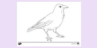 Discover all our printable coloring pages for adults, to print or download for free ! Raven Colouring Sheets Colouring Pages