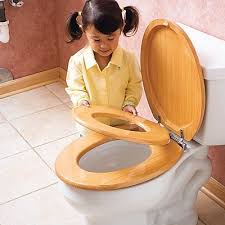 Site Error From One Step Ahead Potty Seat Toddler Potty Seat Best Potty Training Seat