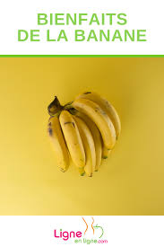 Epingle Sur Articles Nutrition