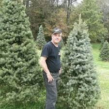 Rauh Christmas Tree Farm Tree Farms Christmas Tree Farm Tree