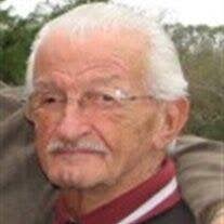 Peter Louis Calgaro Sr. Obituary