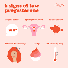 Image result for Progesterone