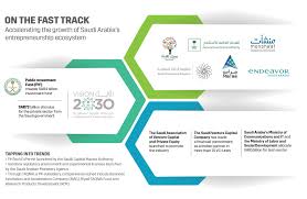 The latest minister of entrepreneur development and cooperative has been wan junaidi since march 2020. On The Fast Track Saudi Arabia S Entrepreneurship Ecosystem