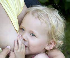Breastfeeding Your Toddler What To Expect Kellymom Com