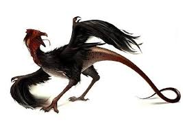 Pin On Fantastic Fowl