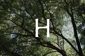 Mehr als 7 millionen monatliche besucher und 8.100 verkäufer vertrauen uns bereits Studio Oker S Identity For Norwegian Furniture Maker Hamran Centres Around A Bespoke Serif Typeface The Brand Identity