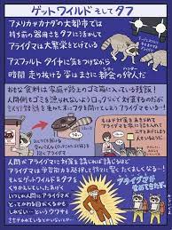 図解 なんかへんな生きもの アライグマ 動物 図鑑 動物
