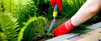 Die meisten schonenden methoden, unkraut zu entfernen, sind leider mit arbeit verbunden. Unkraut Vernichten Tipps Und Tricks Hagebau De