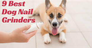 Carefully place the grinder onto the nail, using the appropriately sized port when using a nail guard. 9 Best Dog Nail Grinders Kiss Your Groomer Goodbye Dog Endorsed