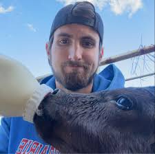 Where to find a calf to raise for beef?