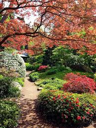 Jardins Albert Kahn Paris Jardines Jardineria Arquitectura