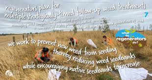 Image result for Bradley Method