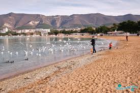 Our expert guide to the best stays. Gelendzhik 2021 Chto Posmotret Otdyh Putevoditel