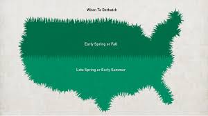 For southern grasses, dethatch in late spring. How And When To Aerate Dethatch Your Lawn