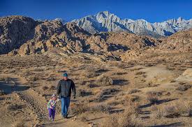 Joshua tree south dispersed camping. Alabama Hills Bureau Of Land Management