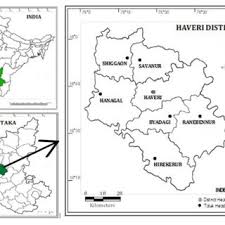 Image result for Isoglossa gregorii