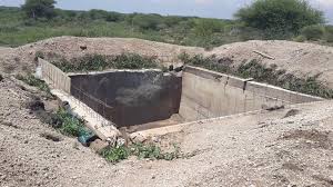 Image result for Ptycholobium plicatum