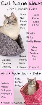Nimble as a cat, she swings a spiked ball on a chain to take out her enemies. Cat Name Ideas For Female Cats Cat Names Kitten Names Girl Cat Names