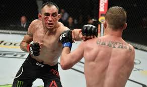 Dominick cruz francis ngannou def. Tony Ferguson Transported To Hospital After Suffering Facial Injuries In Ufc 249 Loss Ufc Sport Express Co Uk