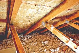 We did not find results for: Mike Holmes Reveals The Two Crucial Things Your Attic Should Have