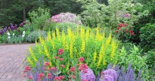 What S New And Old At Longwood Gardens Garden Rant Longwood Gardens Beautiful Flowers Garden Perennial Garden