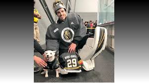 — ian mendes (@ian_mendes) june 11, 2021. Marc Andre Fleury Meets Bark Andre Furry