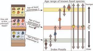 Radioactive dating is a method of dating rocks and minerals using radioactive isotopes. Dating Rocks And Fossils Using Geologic Methods Learn Science At Scitable