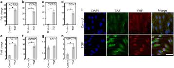 Maybe you would like to learn more about one of these? G Mtcwrd Octqm
