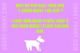 An onion can make people cry but there has never been a vegetable invented to make them laugh. Good Clean Jokes Short Funny Com
