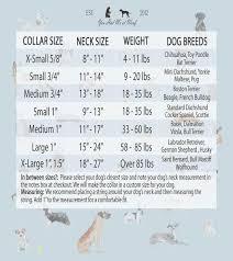 Collars are 3/8″,5/8″, 3/4″, or 1″ wide and constructed from durable washable nylon webbing. Believe Christmas Dog Collar You Had Me At Woof