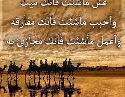 صور حكم حكم عن الحياة حكم عن الحب صور عتاب صور مكتوب عليها moose art art animals
