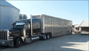 Two deck plus pot-belly Wilson Trailer Silverstar used by Lawrence...