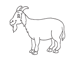 Here we can find a picture of our goat friends ringing their bell on a farm or maybe even catch a glimpse of some wild colormountain goats high atop a peak. Education Materials The Montgomery County Agricultural Fair