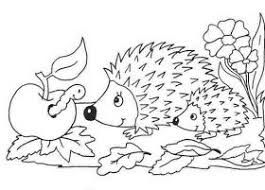 Recursos Del Otono Iv Dibujos Para Colorear Colorear Para Ninos Animalitos Para Colorear