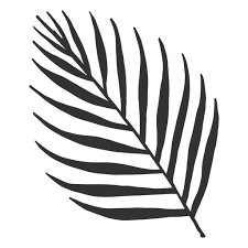 Download Tropical Leaves Areca Palm Silhouette Transparent Png Svg Vector File PSD Mockup Templates