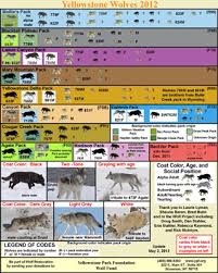 A Naturalists World W O L F C H A R T S