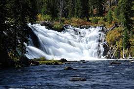 The yellowstone waterfalls guide is our comprehensive summary of the waterfalls in the world's first national park. Lewis Falls Yellowstone Wyoming Photograph By Aidan Moran
