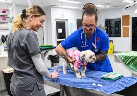 Veterinary Oncologists&Cancer Care Specialists | AREN