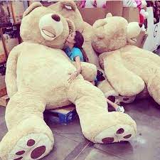 Depends On The Teddy Bear Honestly I M Not Sure I Ve Never Actually Had One Of Either Big Teddy Huge Teddy Bears Giant Teddy Bear
