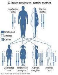 Pin On Muscular Dystrophy