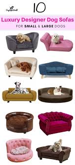 Victoria & carter large dog bed (102 x 70cm) ultra soft pet bed, premium plush mattress cushion for medium or large size pets, can be used for dog crate. Top 10 Dog Sofa Beds On Amazon Luxury Dog Couch Doglifeworld Dog Sofa Dog Sofa Bed Dog Couch