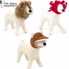 Pet Dr Ocirc Le Lapin Crabe Lion Mane Perruque Chapeau Chien Cat Partie Cosplay Halloween Costume Accessoire Chapeaux Pour Chiot C Lion Mane Pets Cat Costumes