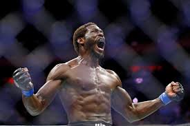 We did not find results for: Jared Cannonier Calls Robert Whittaker S Use Of Oblique Kick Dirty