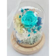 Send roses, tulips, sunflowers, orchids, gift baskets, and more. Buy Blue Light Blue Rose In Glass Dome To Metro Cebu Cebugiftshop