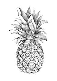 Images For Pineapple Graphic Design Pineapple Art Pineapple Drawing Tattoo Art Drawings
