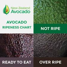 how to select new zealand avocados colour chart new