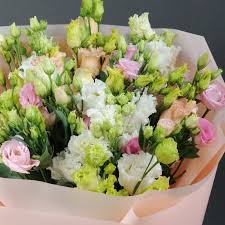 Image result for eustoma flamenco