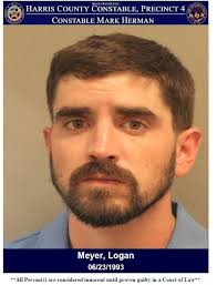 Suspect Arrested for Assault